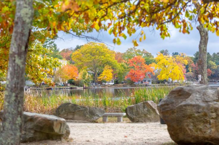 44641559_248460206022208_5042274455699587072_n